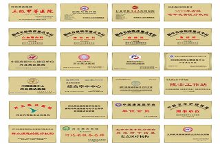 河北燕達醫院十五載榮譽之路:以仁心筑夢,引領醫養康融合高質量發展